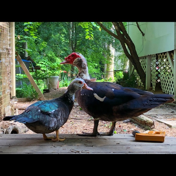 MEET THE WITCH! - Picture 10 of 12